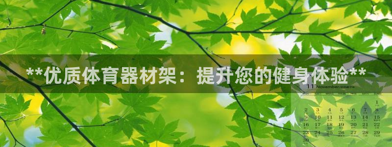 耀世平台人才：**优质体育器材架：提升您的健身体验*
