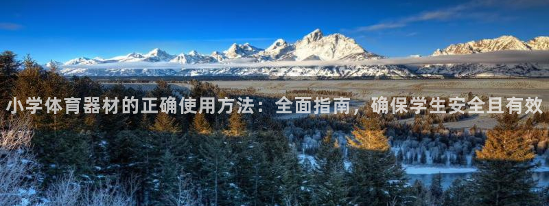 耀世平台人才：小学体育器材的正确使用方法：全面指南，
