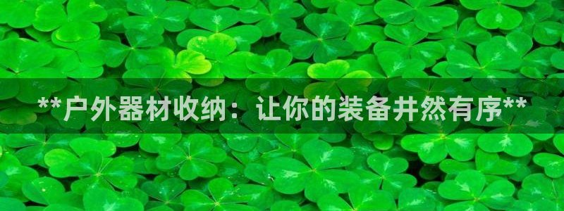 耀世娱乐是正规还是仿真：**户外器材收纳：让你的装备