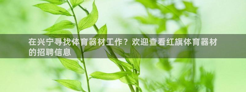 耀世娱乐平台官网登录不了了：在兴宁寻找体育器材工作？