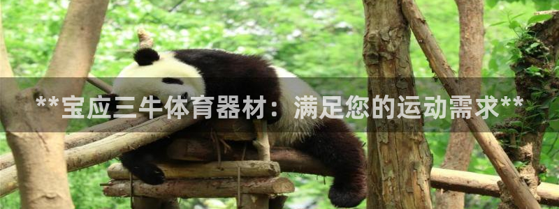 耀世娱乐注册官网网址：**宝应三牛体育器材：满足您的