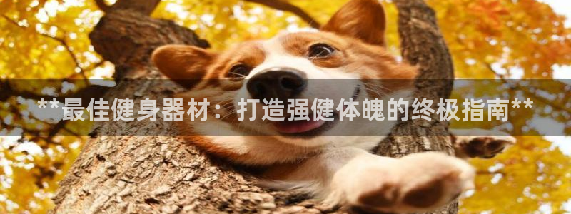 耀世娱乐是不是很黑：**最佳健身器材：打造强健体魄的