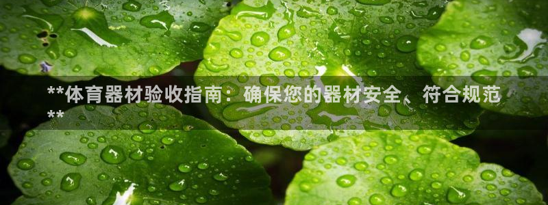 耀世平台代理多少钱一个：**体育器材验收指南：确保您