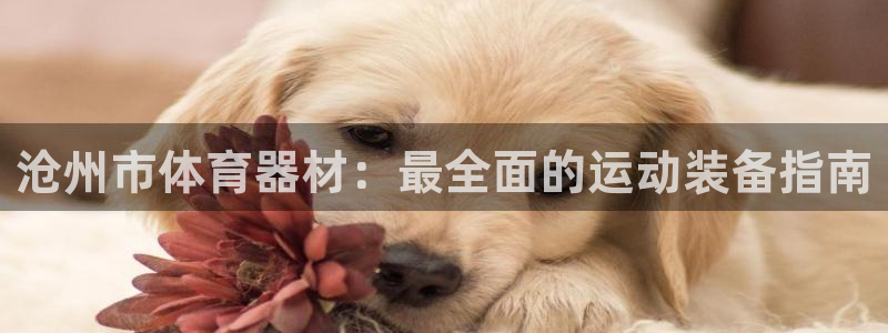 耀世平台登录待做7.1.6.5.8.95信用好：沧州