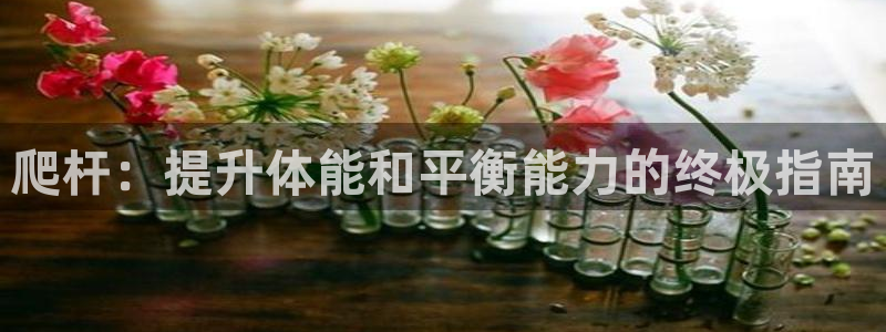 耀世第三关怎么过：爬杆：提升体能和平衡能力的终极指南