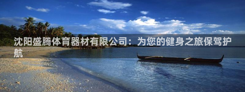 耀世平台的运营模式是什么：沈阳盛腾体育器材有限公司：