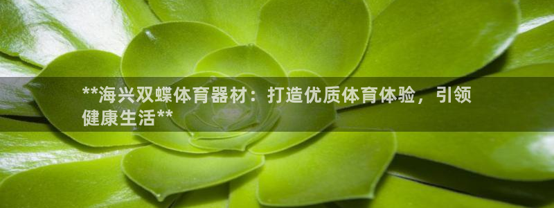 耀世集团七天三彩：**海兴双蝶体育器材：打造优质体育
