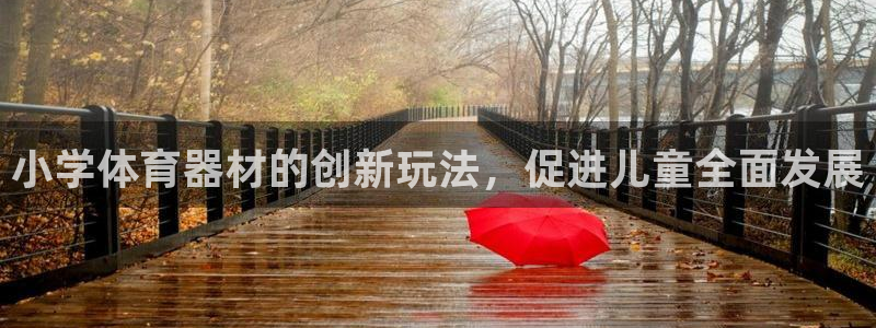 耀世平台注册网址是多少啊：小学体育器材的创新玩法，促