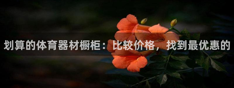 耀世娱乐登录注册：划算的体育器材橱柜：比较价格，找到