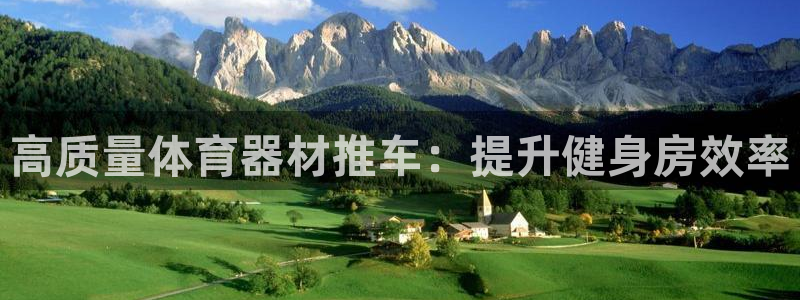 耀世娱乐app下载安装苹果：高质量体育器材推车：提升
