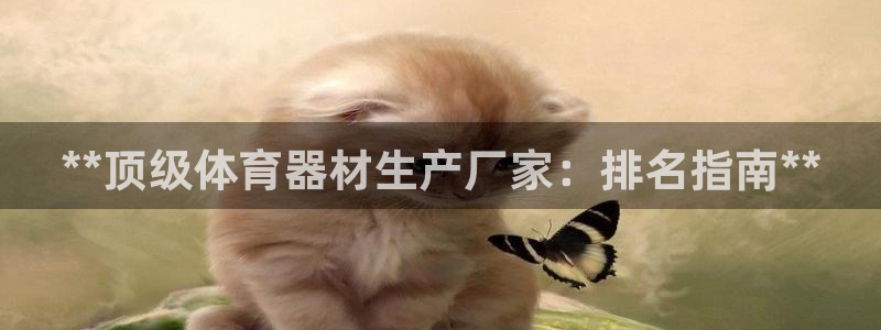 耀世国际平台正规吗可信吗：**顶级体育器材生产厂家：
