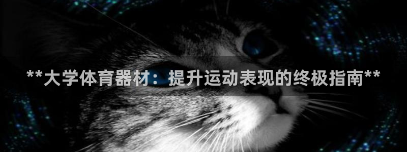 耀世什么意思：**大学体育器材：提升运动表现的终极指