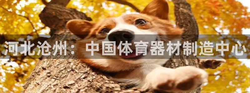 耀世娱乐联 411O31 娱乐：河北沧州：中国体育器