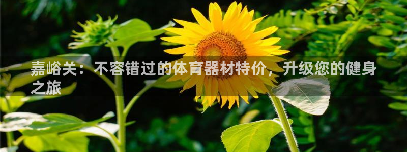 耀世娱乐百科官网：嘉峪关：不容错过的体育器材特价，升