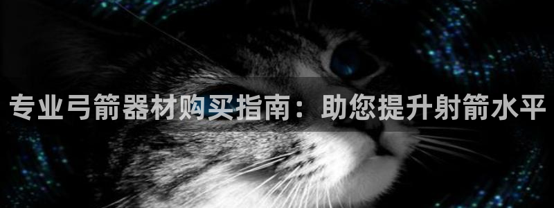 耀世娱乐是不是赚钱了：专业弓箭器材购买指南：助您提升