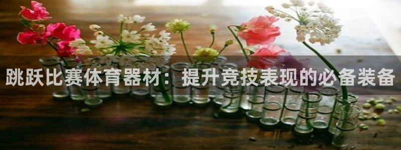 耀世集团耀哥：跳跃比赛体育器材：提升竞技表现的必备装