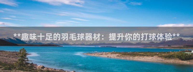 耀世令有什么用：**趣味十足的羽毛球器材：提升你的打