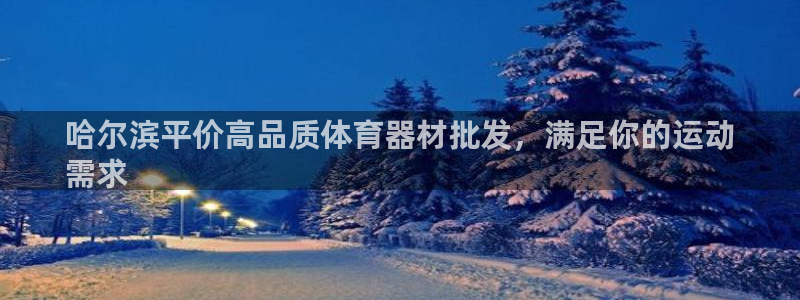 耀世娱乐如何登录平台：哈尔滨平价高品质体育器材批发，