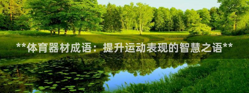耀世平台的运营模式有哪些：**体育器材成语：提升运动