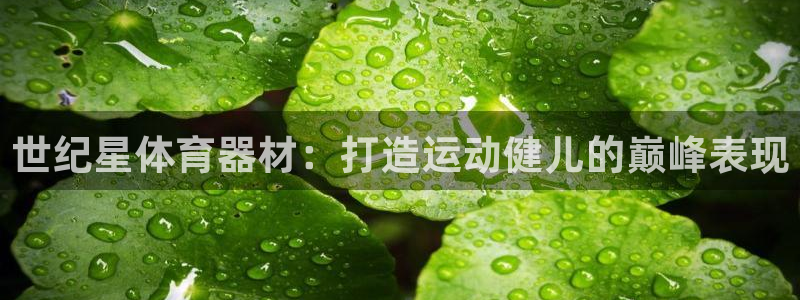 耀世娱乐下载链接安装：世纪星体育器材：打造运动健儿的