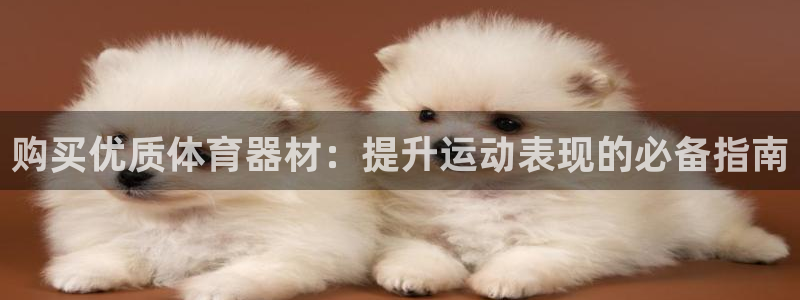 耀世平台物7O777：购买优质体育器材：提升运动表现