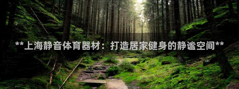 耀世平台登录地址在哪：**上海静音体育器材：打造居家