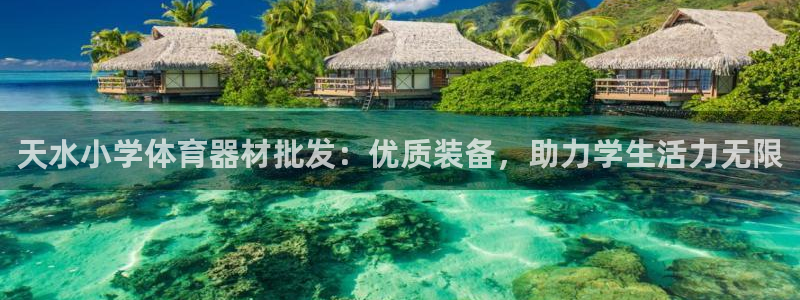 耀世娱乐可以玩吗是真的吗：天水小学体育器材批发：优质