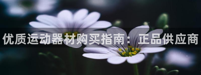 耀世娱乐app下载安装手机版：优质运动器材购买指南：