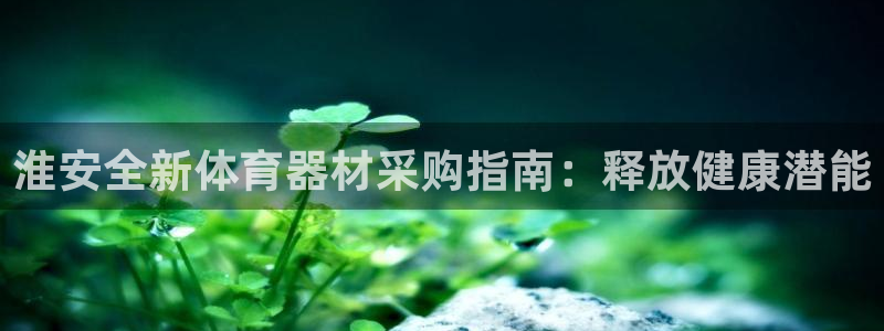 耀世楼盘：淮安全新体育器材采购指南：释放健康潜能