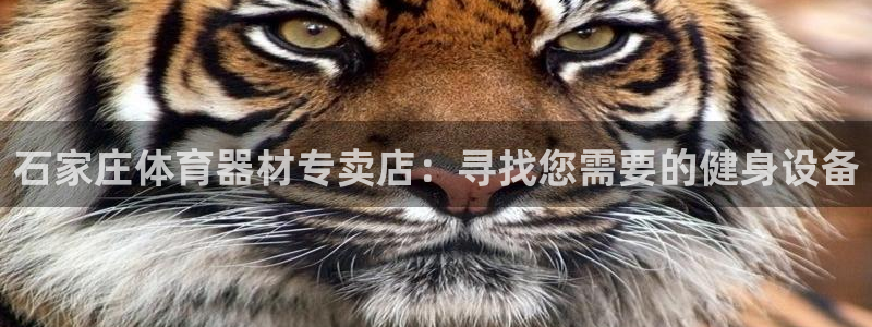 耀世平台注册最新地址在哪：石家庄体育器材专卖店：寻找