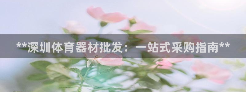 耀世平台总代理：**深圳体育器材批发：一站式采购指南