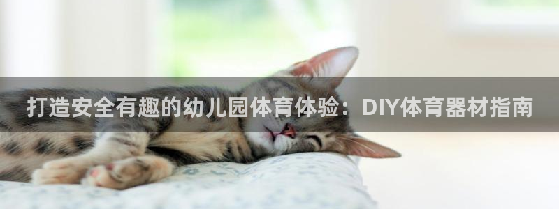 耀世开业：打造安全有趣的幼儿园体育体验：DIY体育器