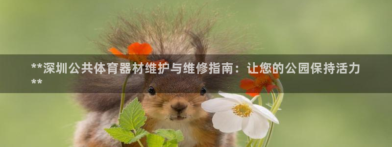耀世娱乐平台官网登录不了怎么办：**深圳公共体育器材