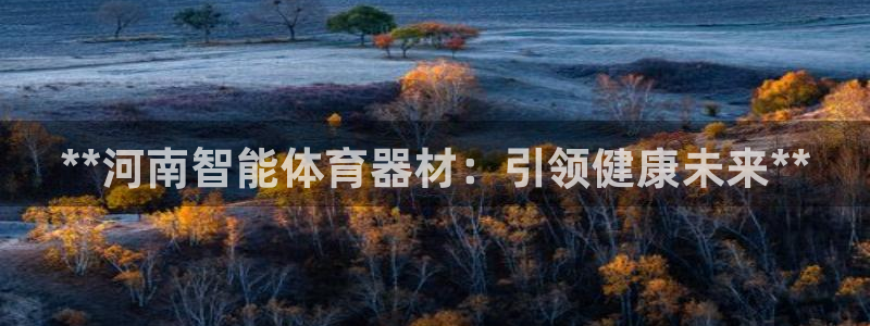 耀世娱乐的4.9.4.0.3 天乐：**河南智能体育