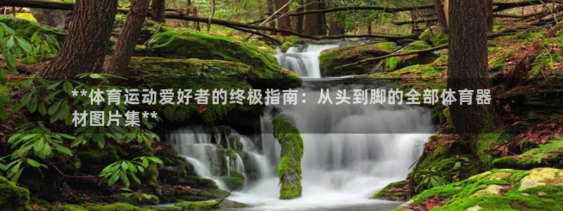 耀世平台皮皮虾怎么样：**体育运动爱好者的终极指南：