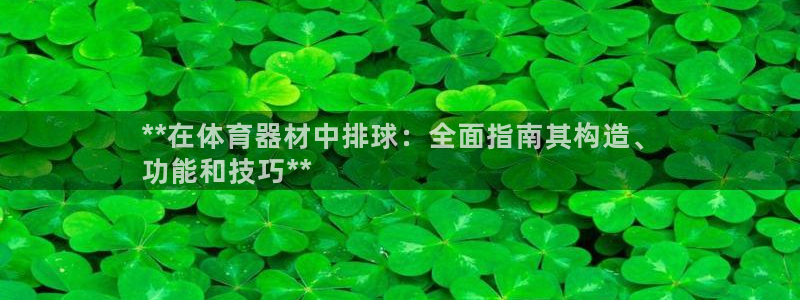 耀世平台找 5O6917 平台：**在体育器材中排球