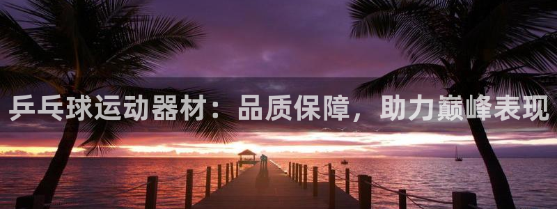 耀世国际平台正规吗可信吗安全吗：乒乓球运动器材：品质