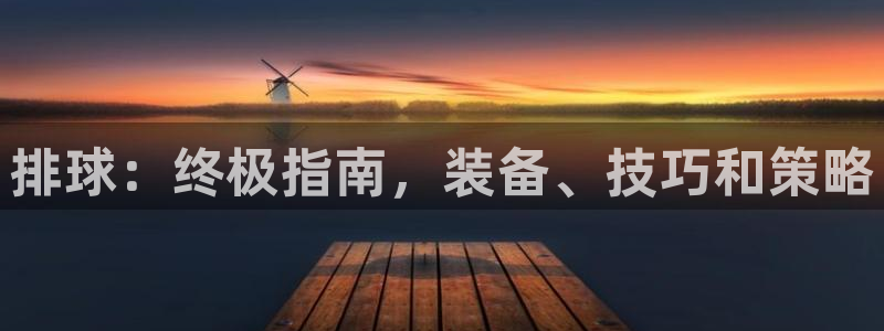 耀世娱乐是个什么平台：排球：终极指南，装备、技巧和策