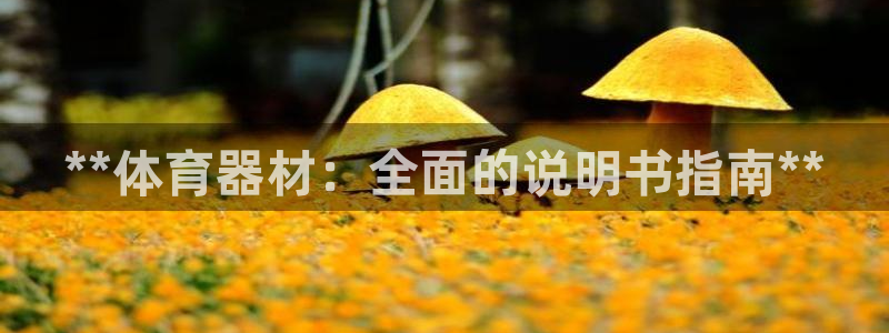 耀世来袭：**体育器材：全面的说明书指南**