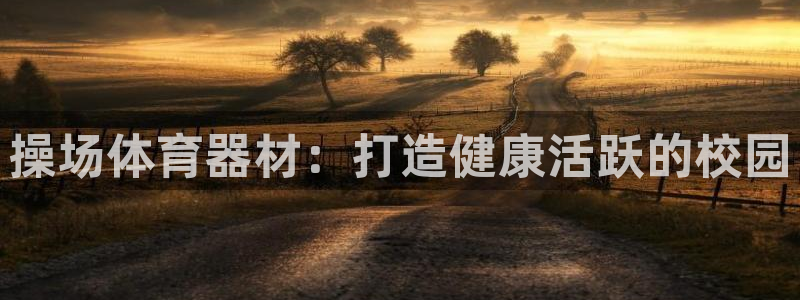 耀世集团商业联盟怎么样：操场体育器材：打造健康活跃的