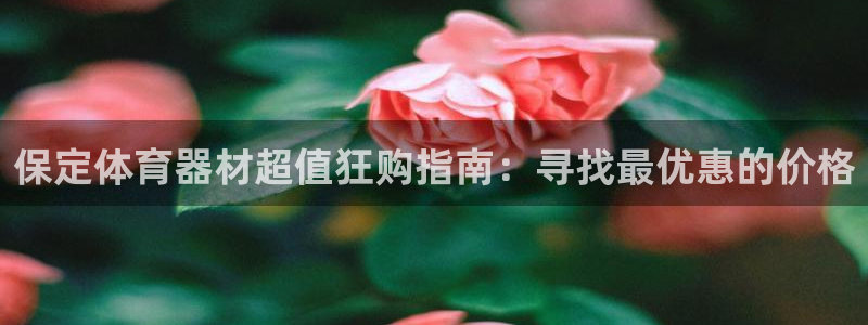 耀世平台app下载安装官网：保定体育器材超值狂购指南
