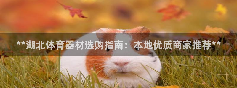 耀世平台注册步骤微博：**湖北体育器材选购指南：本地