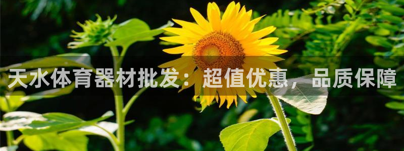 耀世开业：天水体育器材批发：超值优惠，品质保障