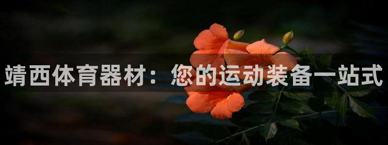 耀世平台代理怎么样可靠吗：靖西体育器材：您的运动装备