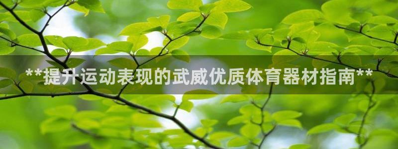耀世娱乐注册等7O777：**提升运动表现的武威优质