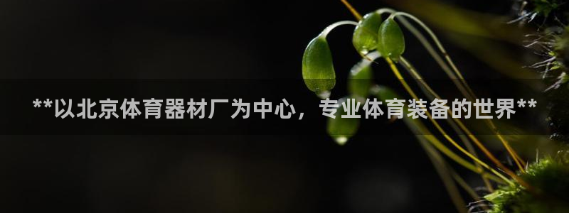 耀世平台日7O777：**以北京体育器材厂为中心，专