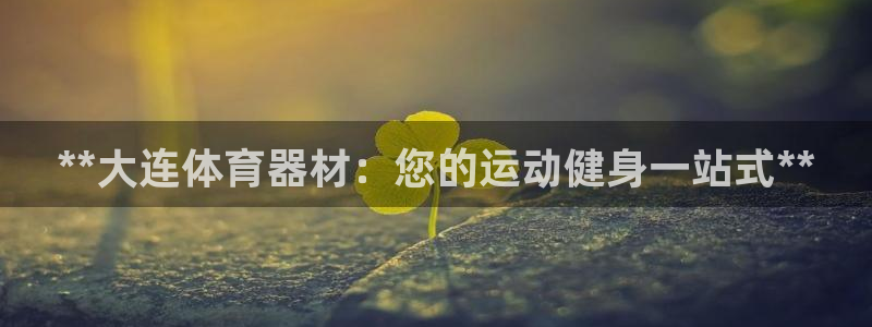耀世娱乐代理什么待遇可以做：**大连体育器材：您的运