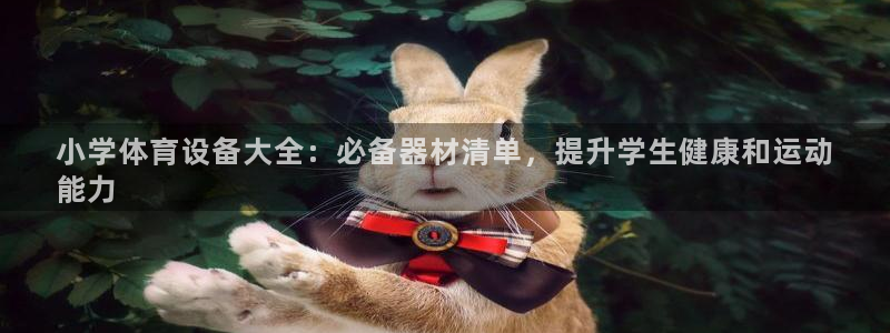 耀世启幕：小学体育设备大全：必备器材清单，提升学生健