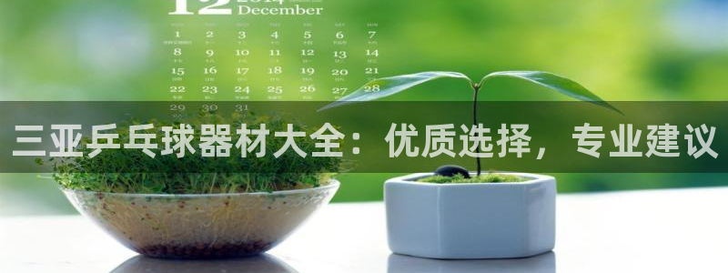 耀世平台会员中心在哪：三亚乒乓球器材大全：优质选择，