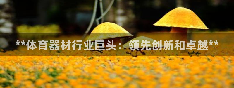 耀世娱乐能提现吗现在多少钱：**体育器材行业巨头：领